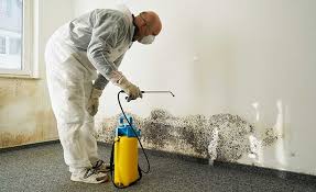 Mold Remediation